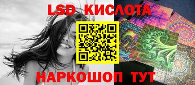 бошки Кингисепп