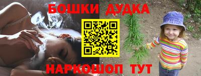 бошки Кингисепп