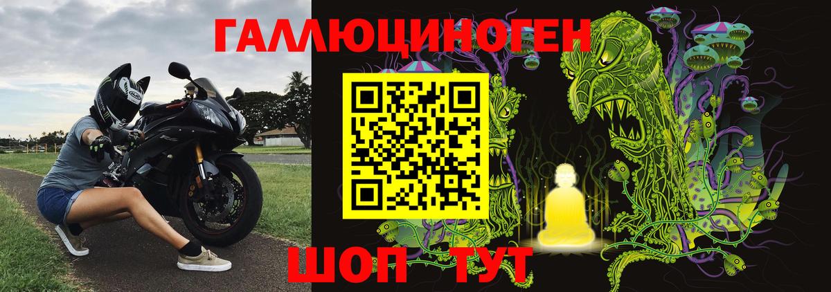 Галлюциногенные грибы Psilocybe  Вход с VPN  Королёв  Галлюциногенные грибы мицелий 